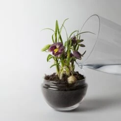 Design House Stockholm Grow Kas -Copenhaging Winkel 18745 02 03 9b277efb4d