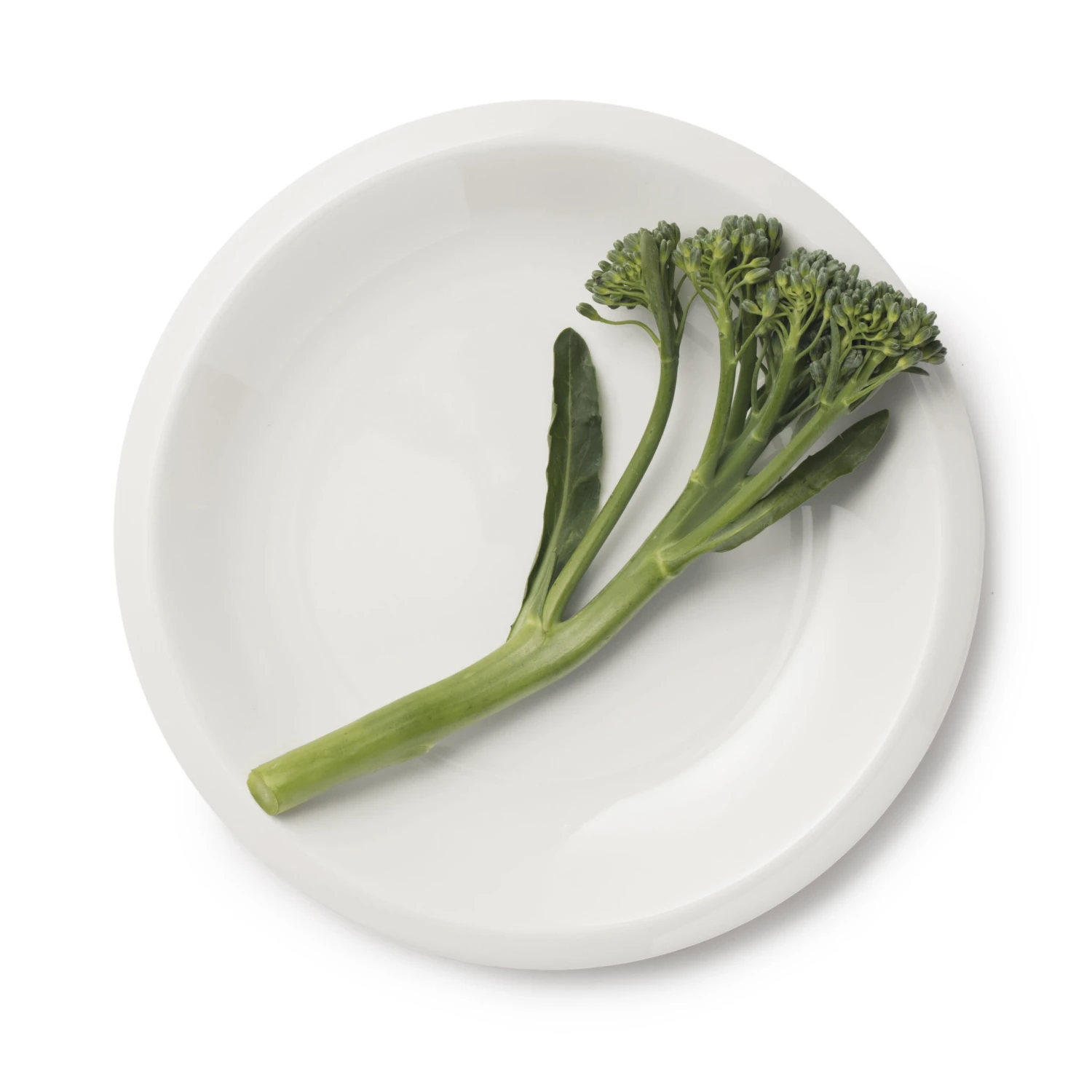 Iittala Raami Bordje 17 Cm 2 Iittala Raami Bordje 17 Cm - Afbeelding 2