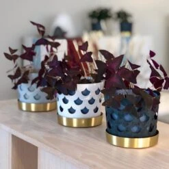 Klong Trio Bloempot Drop, Klein Ø12 Cm -Copenhaging Winkel 40760 01 04 e0805774df