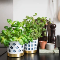 Klong Trio Bloempot Drop, Klein Ø12 Cm -Copenhaging Winkel 40760 01 06 380f856faf