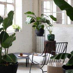 Serax Vasaro Plantenstandaard H90 Cm Ø35 Cm -Copenhaging Winkel 46586 01 04 f909465b2e