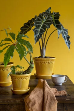 Bergs Potter Copenhagen Pot Geglazuurd Ø14 Cm -Copenhaging Winkel 46739 04 4 EnvironmentImage e501bd4fae