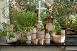 Bergs Potter Helena Pot Ø25 Cm -Copenhaging Winkel 46744 02 3 EnvironmentImage 7d3001d7a2