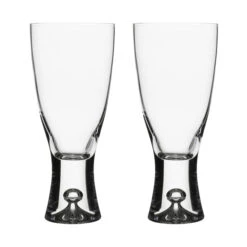 Iittala Tapio Bierglas 30 Cl 2-pack