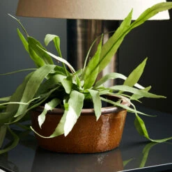 House Doctor Whai Pot Ø30 Cm -Copenhaging Winkel 500252 01 3 EnvironmentImage 3f6592f354