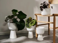 Iittala Nappula Pot H32 Cm Ø19 Cm -Copenhaging Winkel 503933 01 3 EnvironmentImage 34a55b9a6a