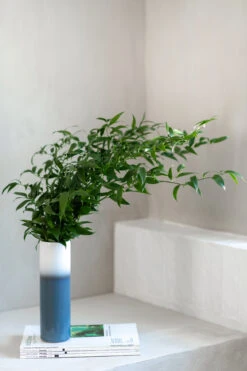 Villeroy & Boch Lave Home Cilindervaas 25 Cm -Copenhaging Winkel 504477 01 5 EnvironmentImage f295c24018