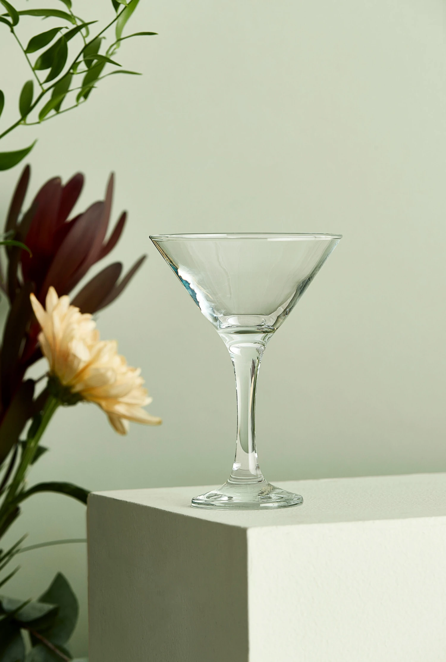 Aida Café Martini-/cocktailglas 17,5 Cl 2 Aida Café Martini-/cocktailglas 17,5 Cl - Afbeelding 2