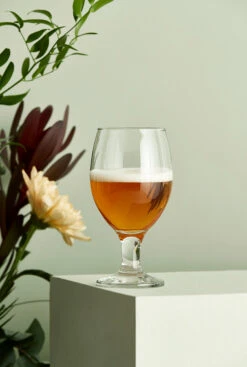 Aida Café Bierglas 40 Cl -Copenhaging Winkel 508885 01 3 EnvironmentImage c2f31854e0