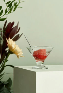 Aida Café Dessertkom 16,5 Cl -Copenhaging Winkel 508894 01 3 EnvironmentImage 7dbd70ec52