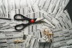 Zwilling Twin Universele Schaar 5 Zwilling Twin Universele Schaar -Copenhaging Winkel 509108 01 30 EnvironmentImage be6bf3b28c