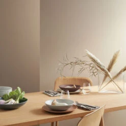 Rosenthal Thomas Clay Diep Bord Ø23 Cm -Copenhaging Winkel 514594 01 4 EnvironmentImage 2dee2034c4