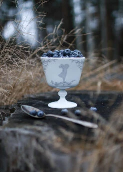 Alv Dessertkom Op Voet Ø11 Cm -Copenhaging Winkel 516192 01 3 EnvironmentImage 36b96de972