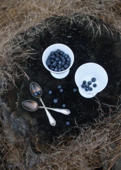 Alv Dessertkom Op Voet Ø11 Cm -Copenhaging Winkel 516192 01 5 EnvironmentImage a825165c16