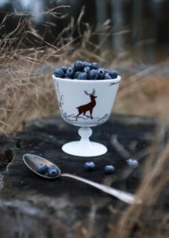 Alveskog Dessertkom Op Voet Ø11 Cm -Copenhaging Winkel 516193 01 3 EnvironmentImage e5f31fe34a