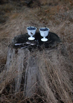 Alveskog Dessertkom Op Voet Ø11 Cm -Copenhaging Winkel 516193 01 4 EnvironmentImage a773af0796
