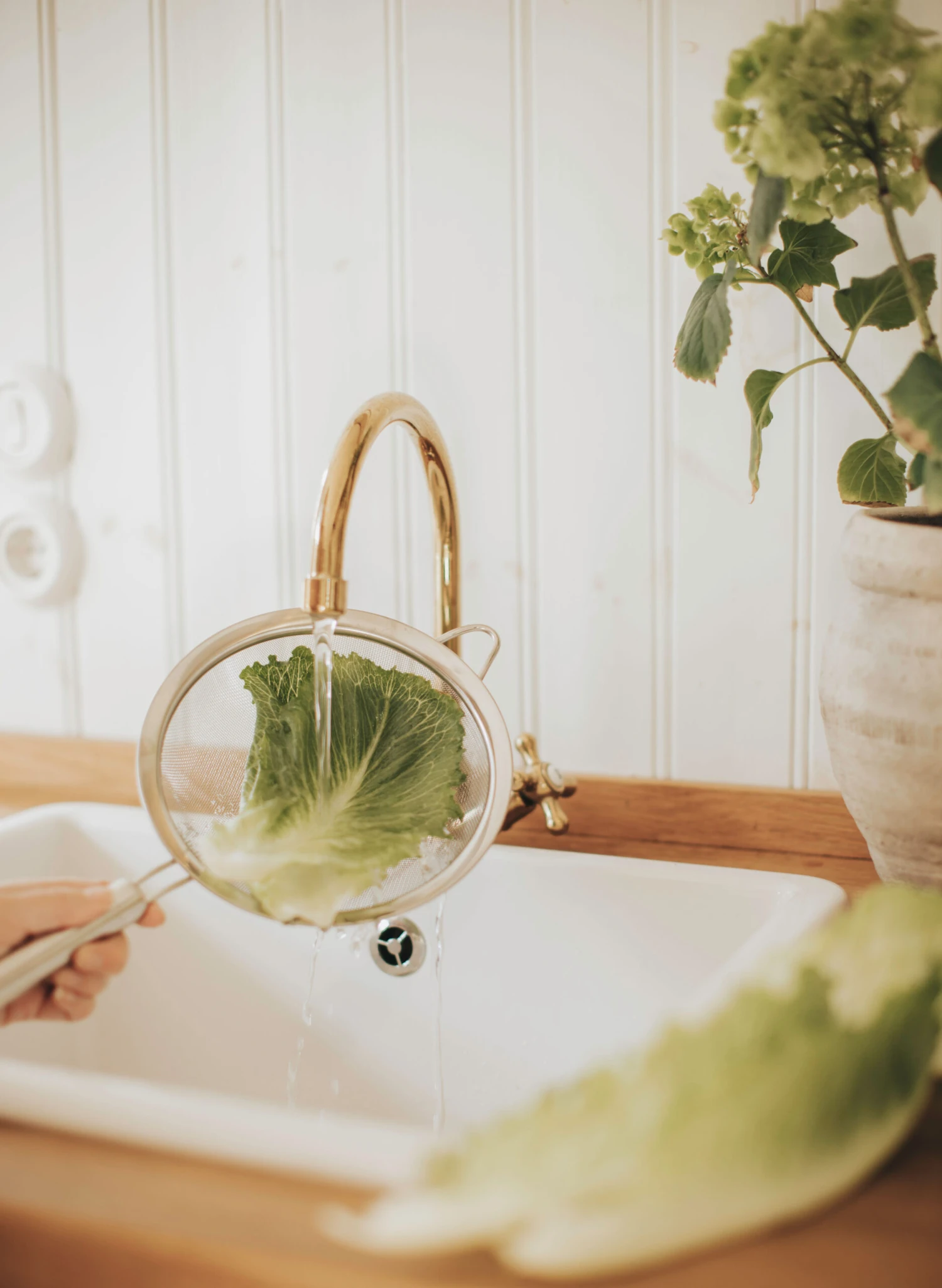 Dorre Pia Zeef Ø20 Cm 2 Dorre Pia Zeef Ø20 Cm - Afbeelding 2