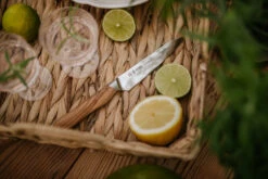 Satake Kaizen Petty Schilmes -Copenhaging Winkel 572366 01 8 EnvironmentImage 6c2ad8496e