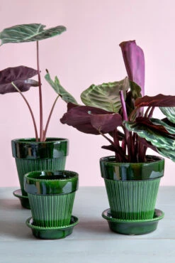 Bergs Potter Simona Bloempot Geglazuurd Ø12 Cm -Copenhaging Winkel 572399 01 40 EnvironmentImage e9d5de01fd