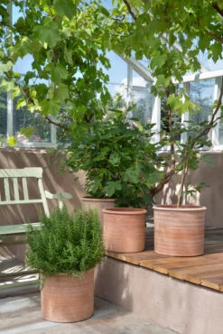 Bergs Potter Modena Bloempot Ø40 Cm -Copenhaging Winkel 572407 01 41 EnvironmentImage b3427167a2