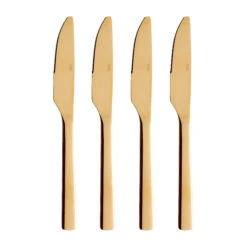 Aida Raw Dinermes 4-pack