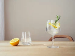 Iittala Essence Gin & Cocktailglas 2-pack -Copenhaging Winkel 574598 01 41 EnvironmentImage d60b2ab122