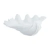 Shella Schelp Decoratie