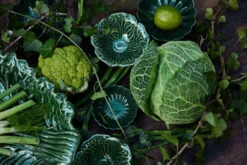 ByOn Veggie Kom S Ø11 Cm -Copenhaging Winkel 577647 01 40 EnvironmentImage 88f41a6cff