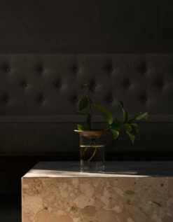 Menu Cresco Propagation Vaas 2-delig -Copenhaging Winkel 577999 01 41 EnvironmentImage 23ebf97e3d