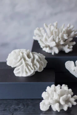 Mette Ditmer Coral Branches White -Copenhaging Winkel 578772 01 41 EnvironmentImage deda7bb0ef