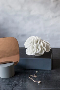 Mette Ditmer Coral Gills -Copenhaging Winkel 578775 01 41 EnvironmentImage de778be22b