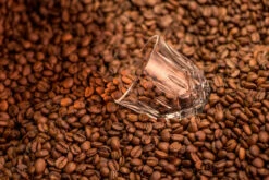 Nachtmann Noblesse Barista Espressoglas 9 Cl 2-pack -Copenhaging Winkel 579766 01 50 ConceptImage c21acba6f9