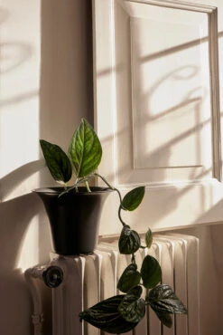 Ferm LIVING Spun Alu Bloempot Ø24x17,5 Cm -Copenhaging Winkel 579935 01 40 EnvironmentImage 7dff2564b5