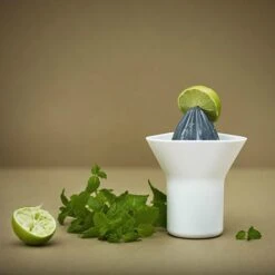 RIG TIG Rig-Tig Sinaasappelpers -Copenhaging Winkel p 19074 01 03 0fd7036625