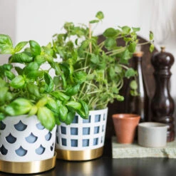 Klong Trio Pot Square Bloempot -Copenhaging Winkel trio pot galleri 2 477ddfea16